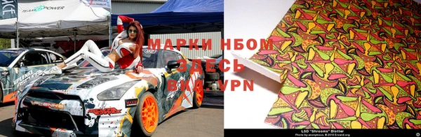 ГАЛЛЮЦИНОГЕННЫЕ ГРИБЫ Аркадак