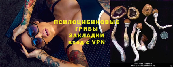 ГАЛЛЮЦИНОГЕННЫЕ ГРИБЫ Аркадак